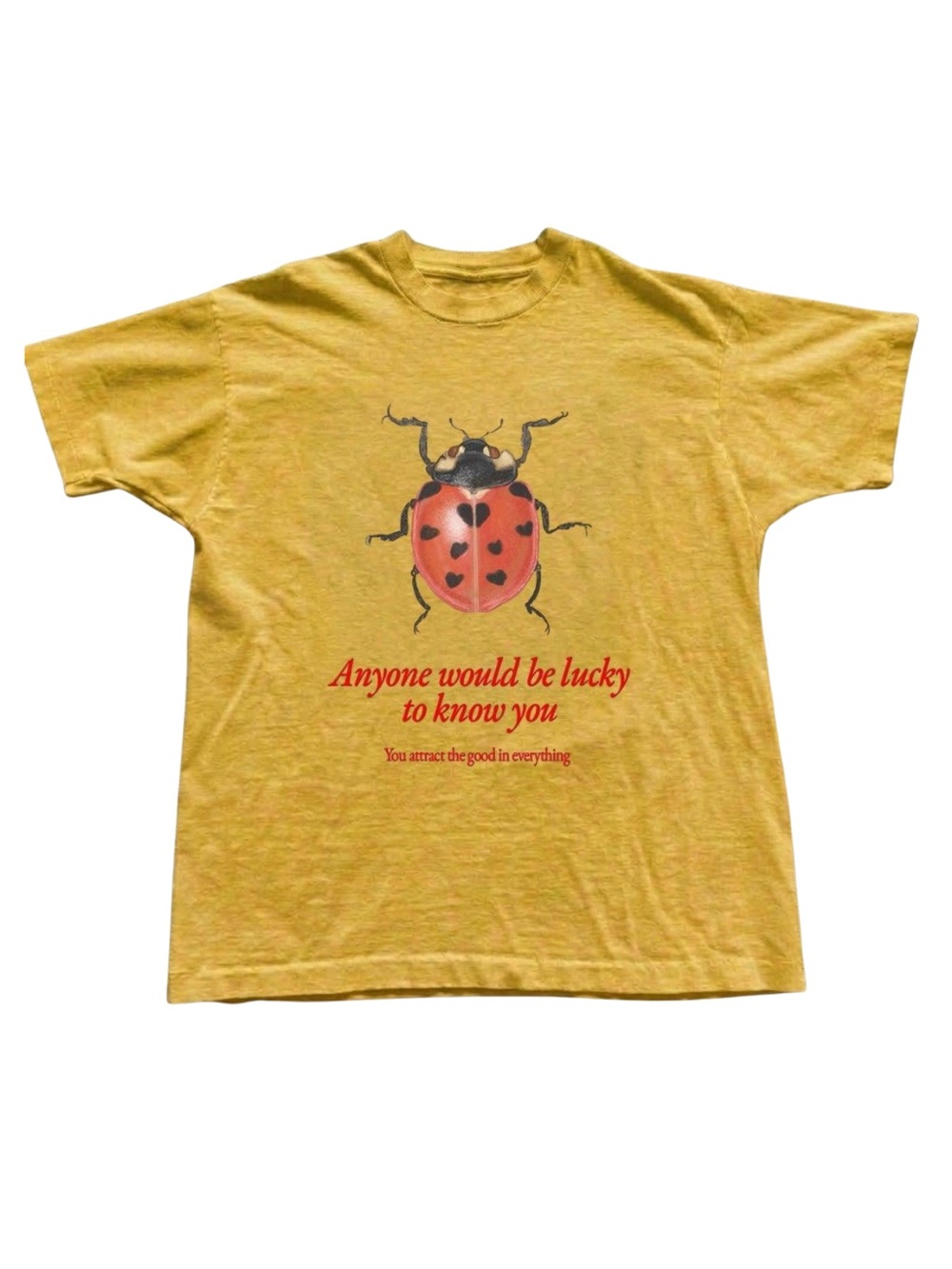 Gildan Yellow Ladybug Graphic Tee - Anyone Would Be Lucky